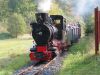 20051008_FGF_int_Feld_208-0882.jpg