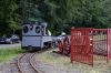Filename=20180825_FGF_1440-107-2345.jpg
Filesize=650KB
Dimensions=1440x961
Date added=Sep 07, 2018 20180825_FGF_1440-107-2345.jpg
