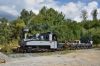 Filename=20180826_FGF_1440-107-2734.jpg
Filesize=657KB
Dimensions=1440x961
Date added=Mar 10, 2020 20180826_FGF_1440-107-2734.jpg